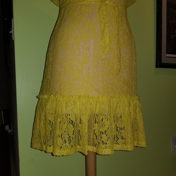 Flirty and Feminine Lace Dress by Sharagano - Picture 4 of 7